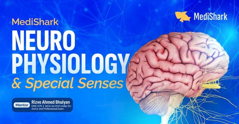 Neurophysiology and Special Senses